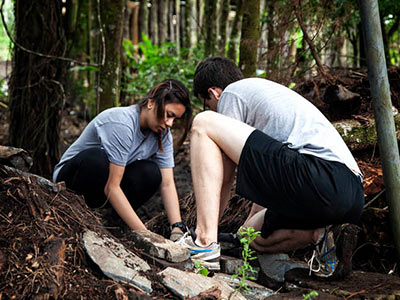 Excavating soil around plant in rainforest