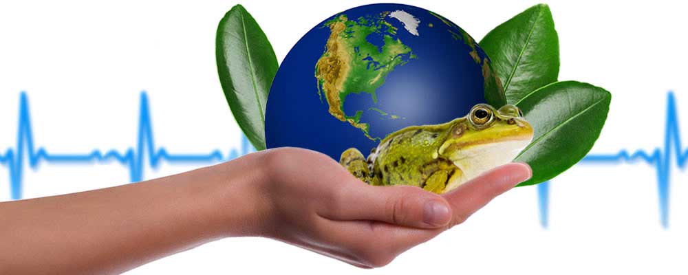 one health earth in hand with animal frog and vegetation for environment