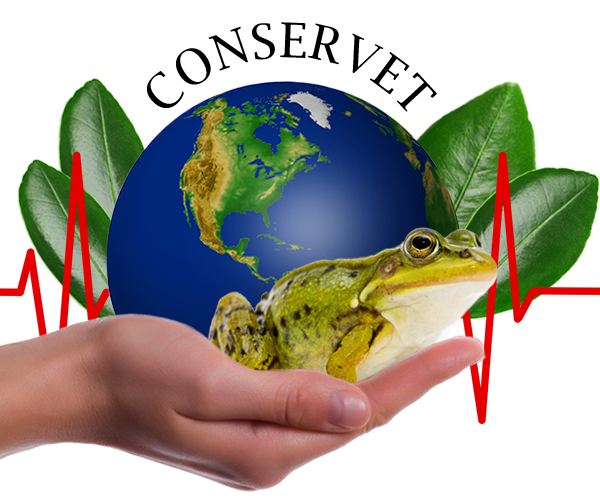 One Health symbol earth animal frog leaves cupped in hand