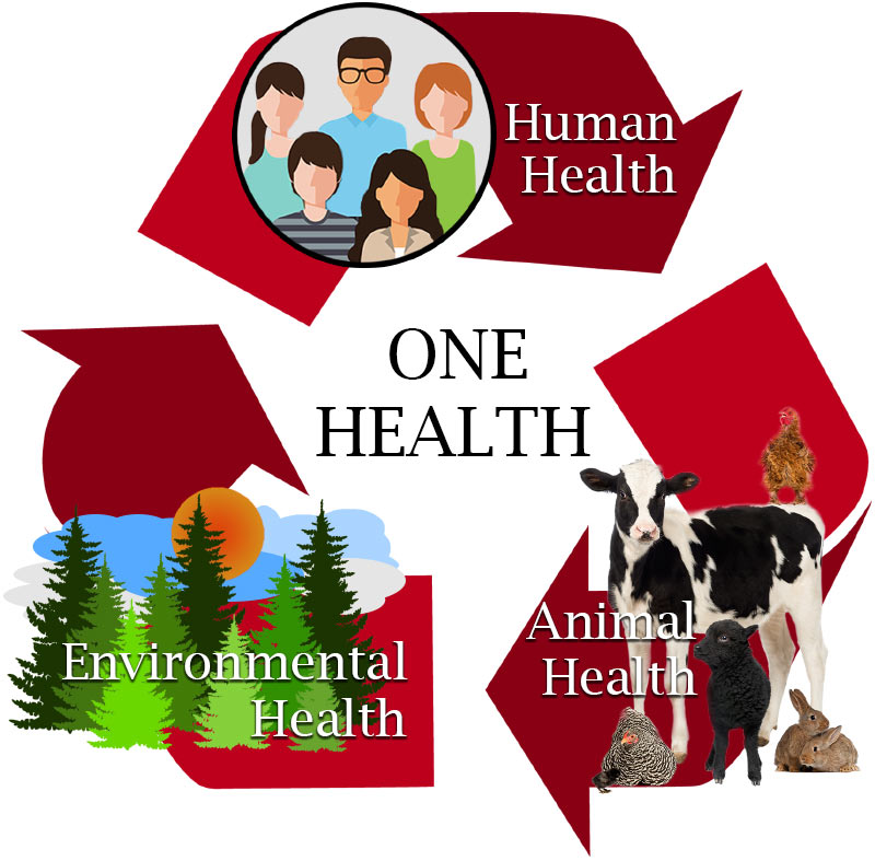 One Health veterinary health concept with humans animals environment