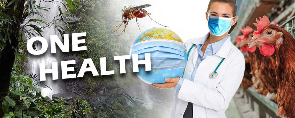 waterfall, mosquito, One Health, doctor with mask, chickens in cage