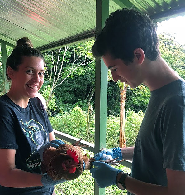2 students testing poultry for disease