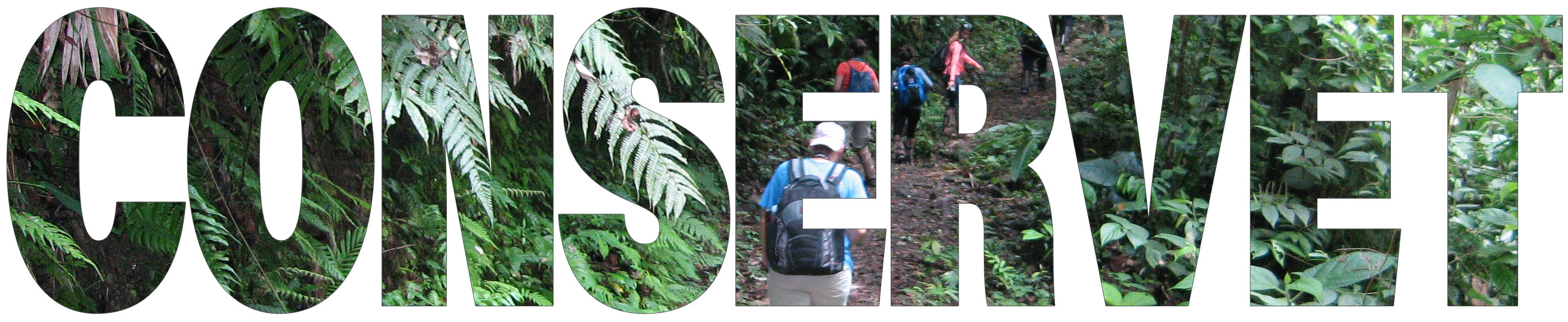 Conservet name with rainforest background