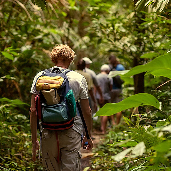 hiking in the rainforest