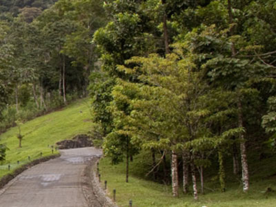 Soltis Center entrance driveway